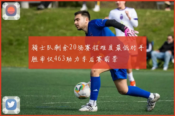 骑士队剩余20场赛程难度最低对手胜率仅463助力季后赛前景